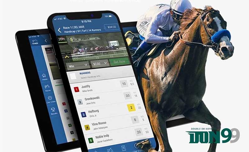 5 Reason to do Online Horse Racing
