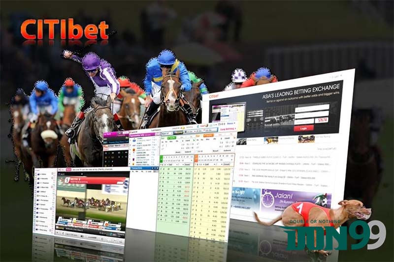 Citibet horse racing Singapore